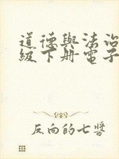 道德与法治八年级下册电子书高清