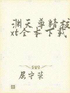 渊天尊精校版txt全本下载