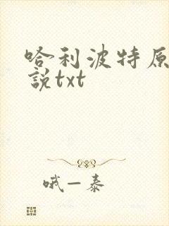 哈利波特原著小说txt