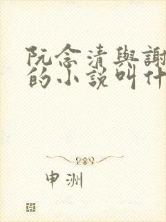 阮念清与谢存旭的小说叫什么