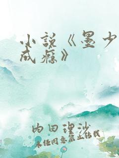 小说《墨少宠妻成瘾》