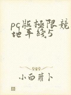 pc版极限竞速地平线5