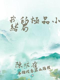 我的极品小姨大结局