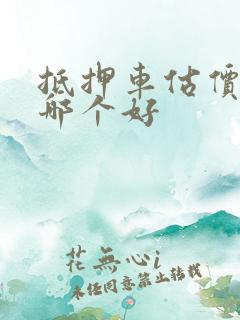 抵押车估价软件哪个好