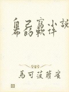 自己写小说不发布的软件