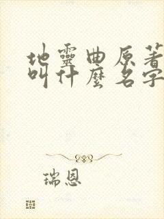 地灵曲原著小说叫什么名字