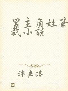 男主角姓萧的总裁小说