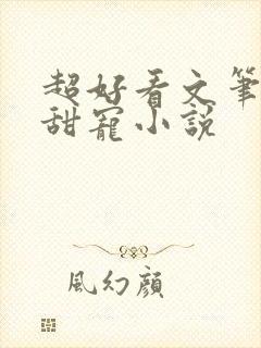 超好看文笔好的甜宠小说