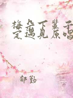 梅朵下辈子不一定遇见原唱