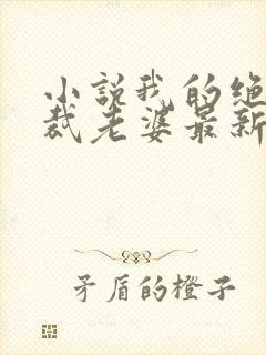 小说我的绝美总裁老婆最新章节