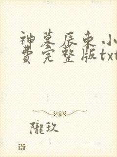 神墓辰东小说免费完整版txt