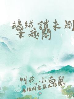 鹅绒锁未删减版 笔趣阁