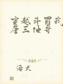 穿越斗罗我成了唐三他哥