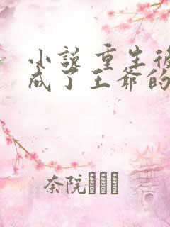 小说 重生后我成了王爷的黑月光