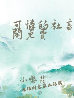 可怜的社畜笔趣阁免费