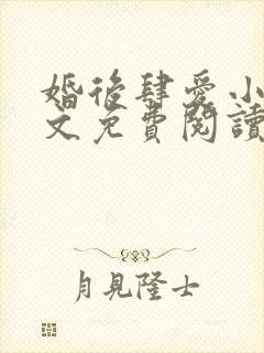 婚后肆爱小说全文免费阅读无弹窗