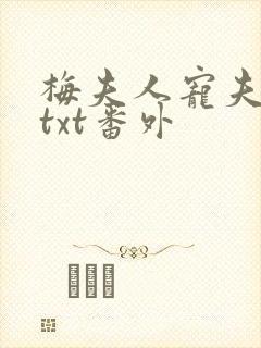 梅夫人宠夫日常txt番外