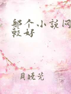 那个小说网站比较好