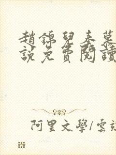 赵锦儿秦慕修小说免费阅读