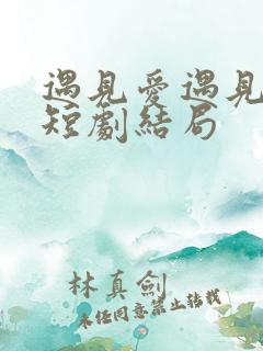 遇见爱遇见幸福短剧结局