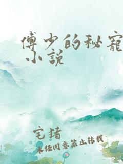 傅少的秘宠娇妻 小说