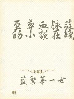 至尊血脉苏铭渊的小说在线阅读