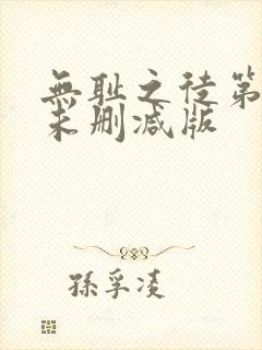 无耻之徒第九季未删减版