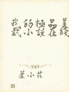 我的极品美女总裁小说在线收听