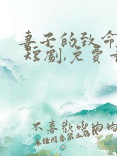 妻子的致命谎言 短剧,免费看