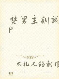 双男主训诫文sp