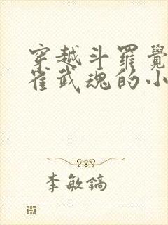 穿越斗罗觉醒朱雀武魂的小说