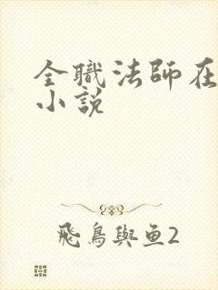 全职法师在线听小说