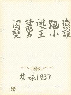 囚禁逃跑惩罚的双男主小说免费攻略