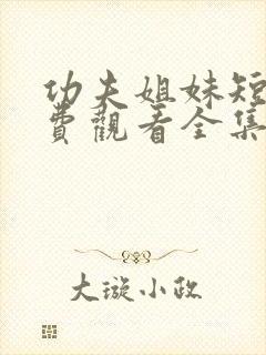 功夫姐妹短剧免费观看全集完整版