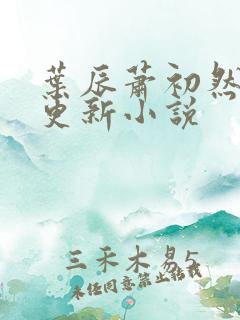叶辰萧初然最快更新小说