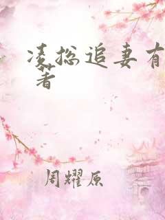 凌总追妻有点甜 著