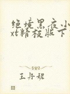 绝境黑夜小说txt精校版下载