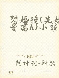 闪婚后(先婚后爱高h)小说