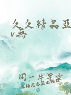 久久精品亚洲av无