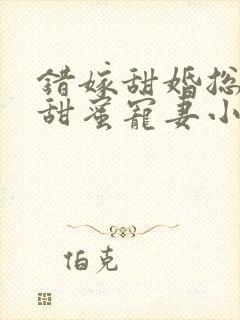 错嫁甜婚总裁的甜蜜宠妻小说