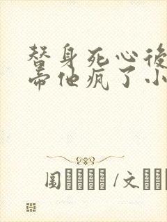 替身死心后,影帝他疯了小说