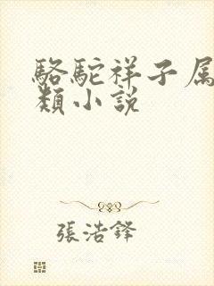 骆驼祥子属于哪类小说