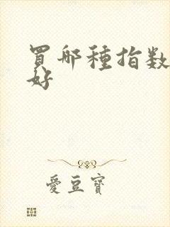 买哪种指数基金好