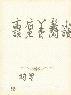 高府丫鬟小说小说免费阅读无弹窗