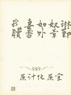 我妻如奴琳的救赎番外章节