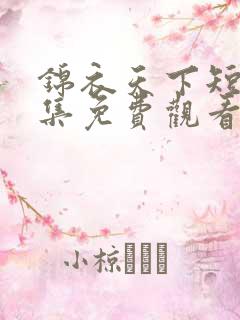 锦衣天下短剧全集免费观看