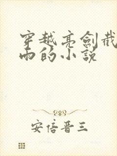 穿越亮剑截胡田雨的小说