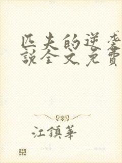 匹夫的逆袭 小说全文免费阅读