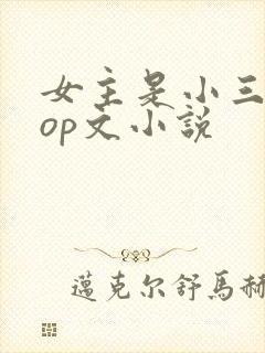 女主是小三的pop文小说