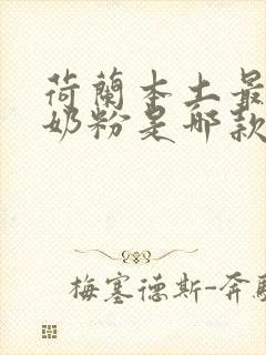 荷兰本土最好的奶粉是哪款